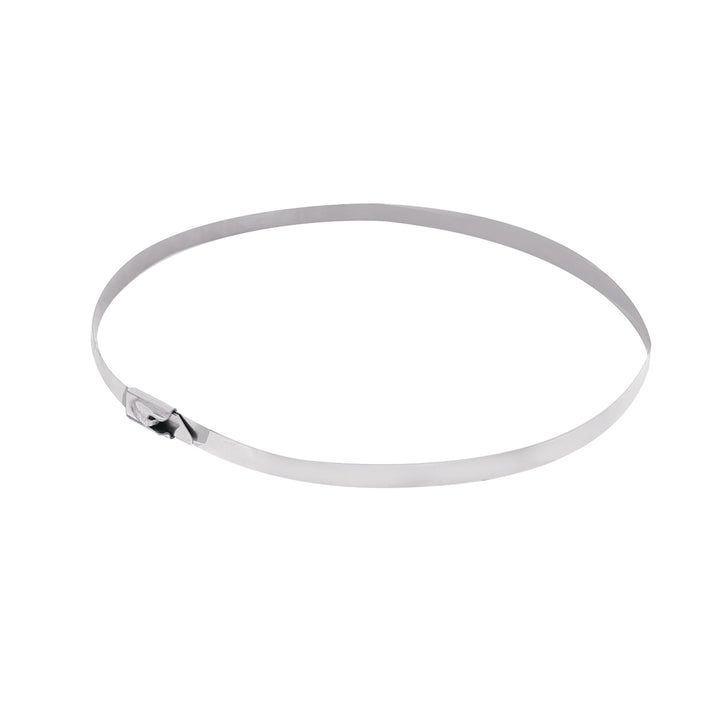 14" Stainless Locking Cable Ties (4-Pack)