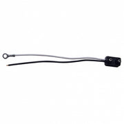 2 Wire Pigtail With 2 Prong Plug - 6" Lead (Retail)