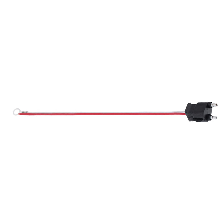 2 Wire Pigtail With 2 Prong Straight Plug - 12" Lead (Retail)