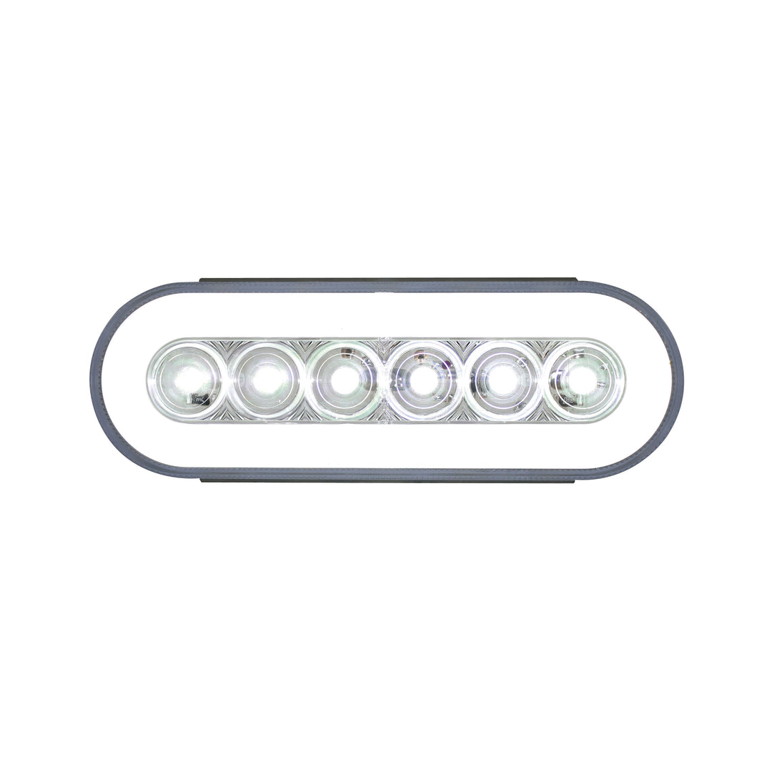 22 LED 6" Oval GloLight Kit (Back-Up)