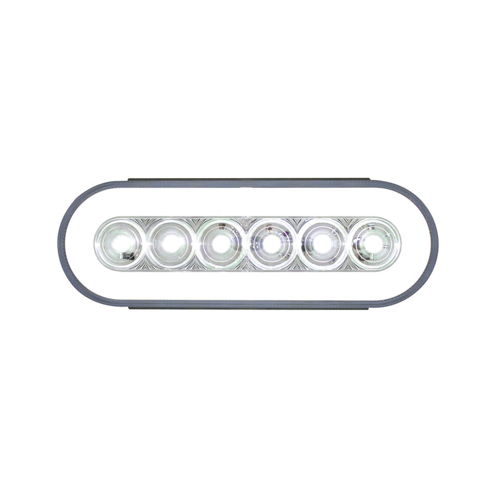 22 LED 6" Oval GloLight Kit (Back-Up)