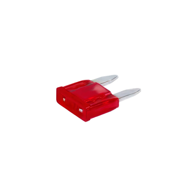 Mini Fuse Kit 5,10,15,20,25,30 Amp Fuses (6-Pack)