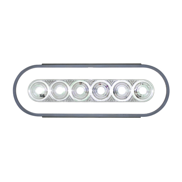 22 LED 6" Oval GloLight (Back-Up)