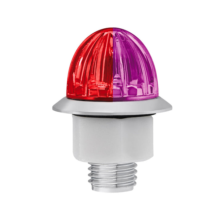 4 LED 3/4" Mini Watermelon Double Fury Light With Clear Lens (Clearance/Marker) - Red &amp; Purple LED