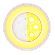 21 LED 4" GloLight (Turn Signal) - Amber LED/Clear Lens