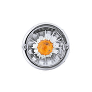 Glass Watermelon Light Kit With LED Light-Amber LED/Clear Lens